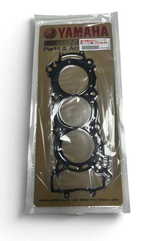 MT09 Cylinder head gasket